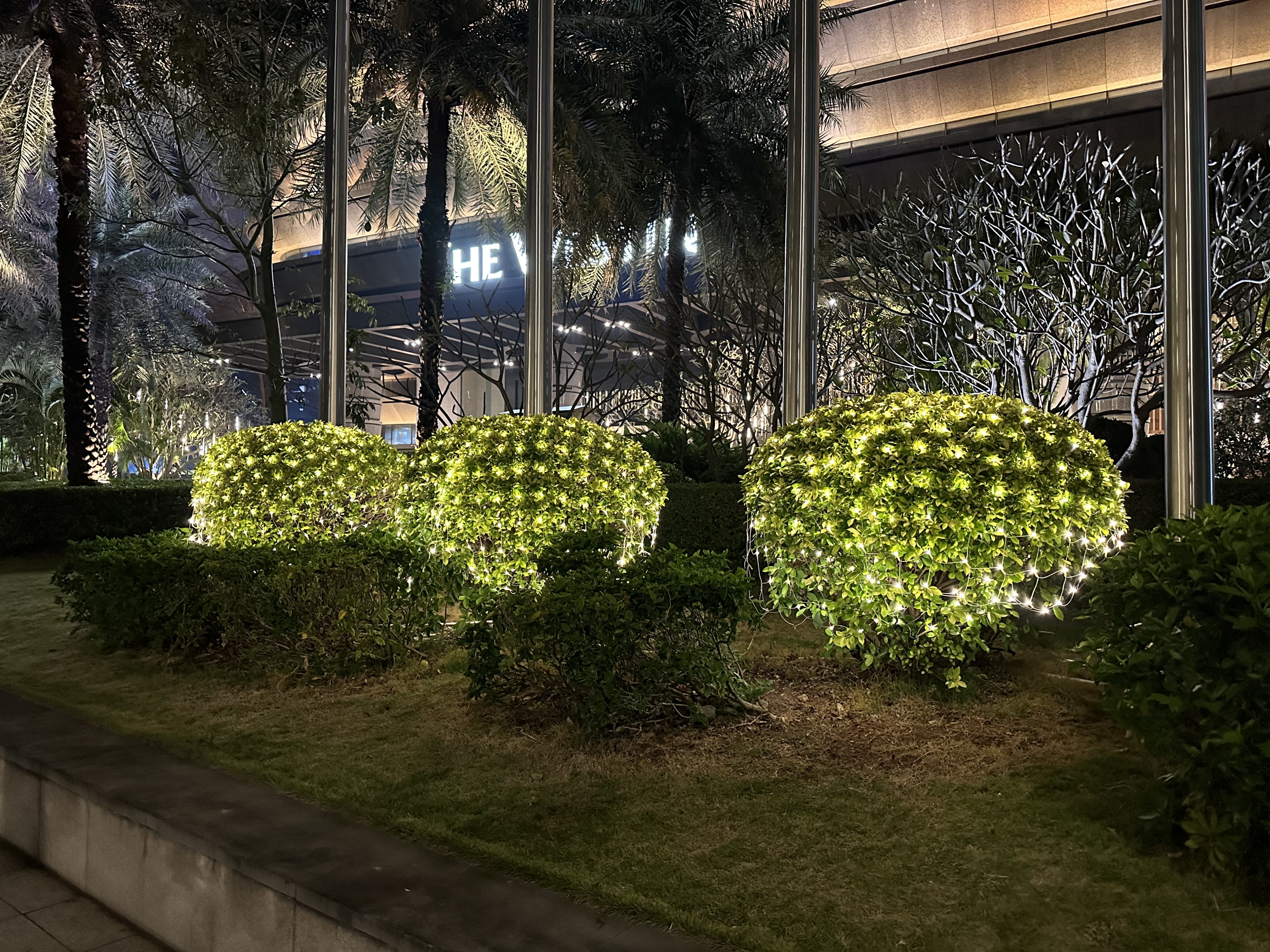 Professional outdoor net lighting used on shrubs